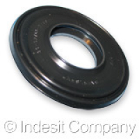 САЛЬНИК БАКА